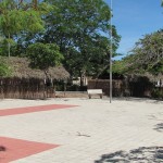 IMG_0050