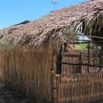 IMG_0051