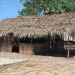 IMG_0054