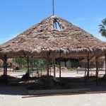 IMG_0056