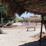 IMG_0080